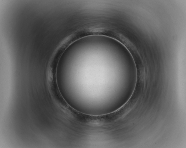 X0000114490731200910191230
