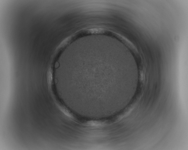 X0000114490733200910191230