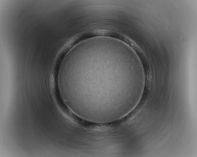 X0000114490734200910191230