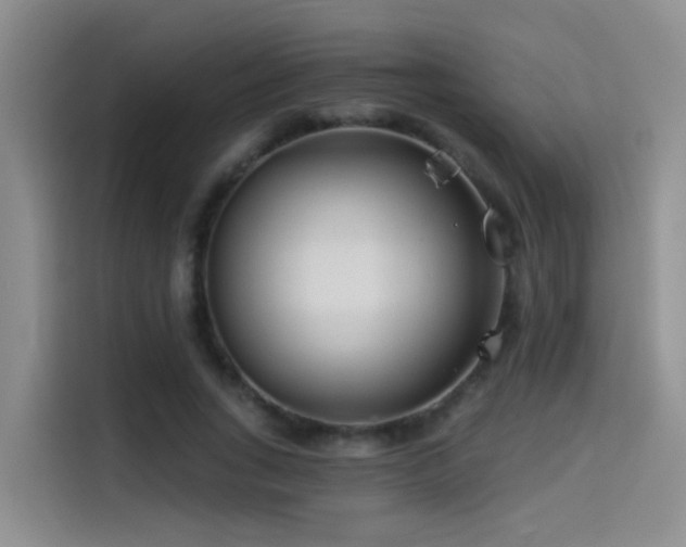 X0000114490735200910191230