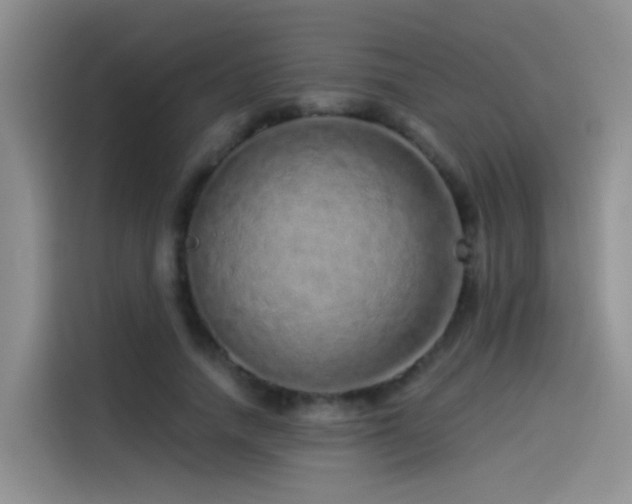 X0000114490738200910191230