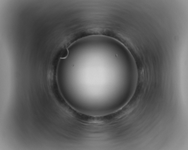 X0000114490739200910191230