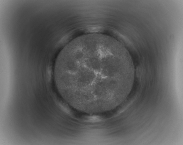 X0000114490741200910191230