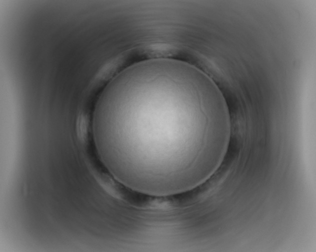 X0000114490742200910191230