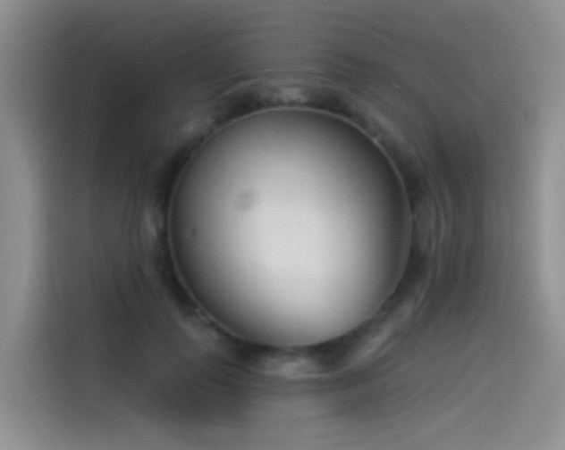 X0000114490747200910191230
