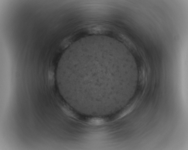 X0000114490749200910191230