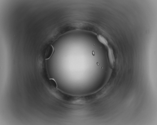 X0000114490750200910191230