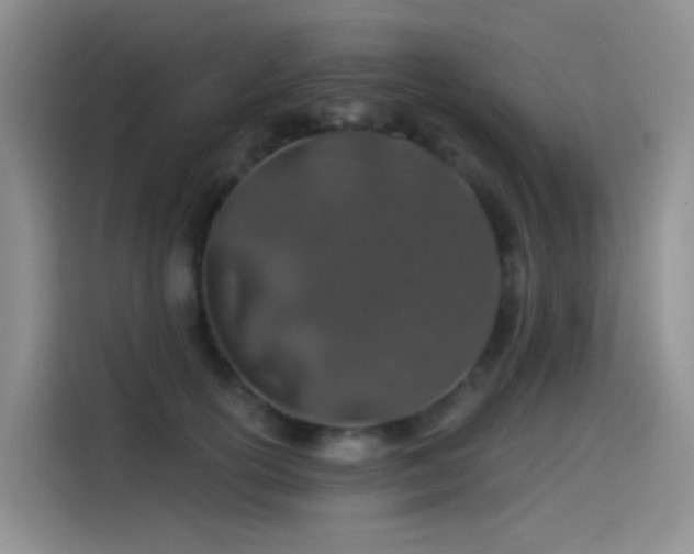 X0000114490754200910191230