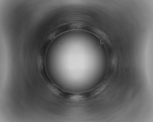 X0000114490759200910191231