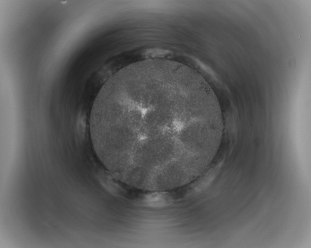 X0000114490761200910191231