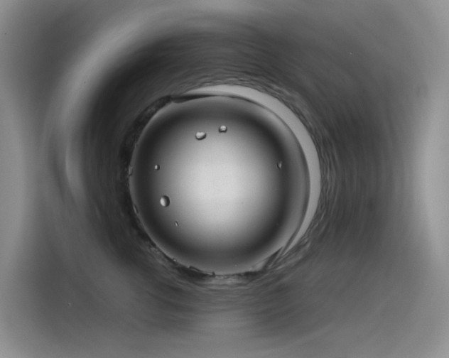 X0000114490762200910191231