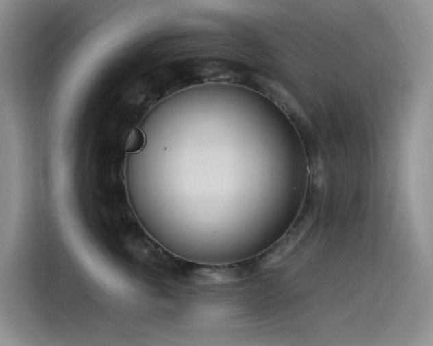 X0000114490763200910191231