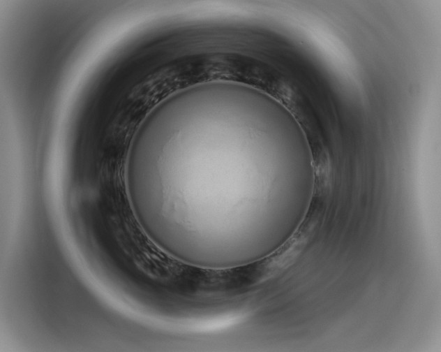 X0000114490765200910191231