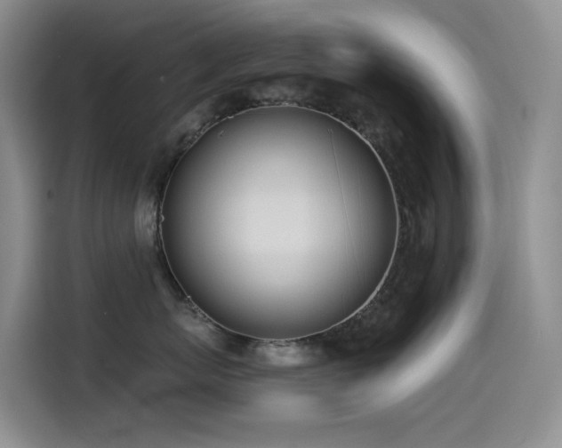 X0000114490767200910191231