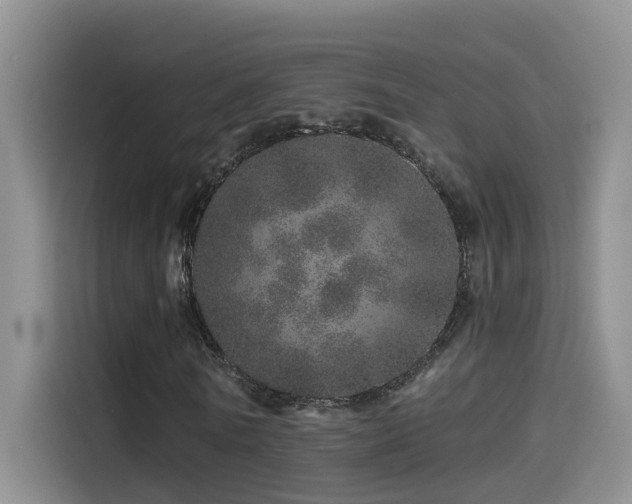X0000114490770200910191230
