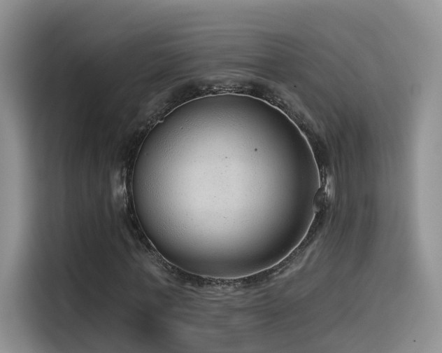 X0000114490771200910191230