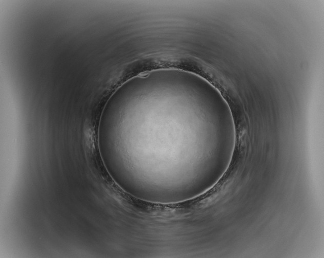 X0000114490772200910191230