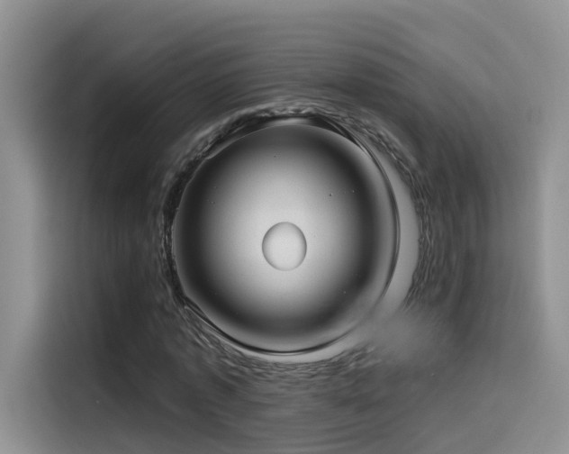 X0000114490773200910191230