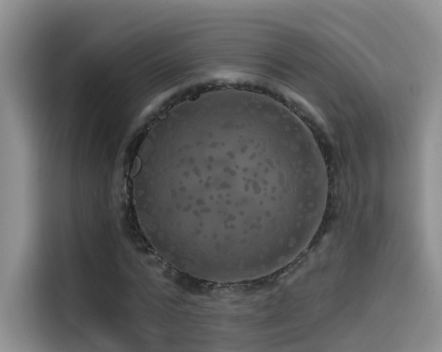 X0000114490776200910191230
