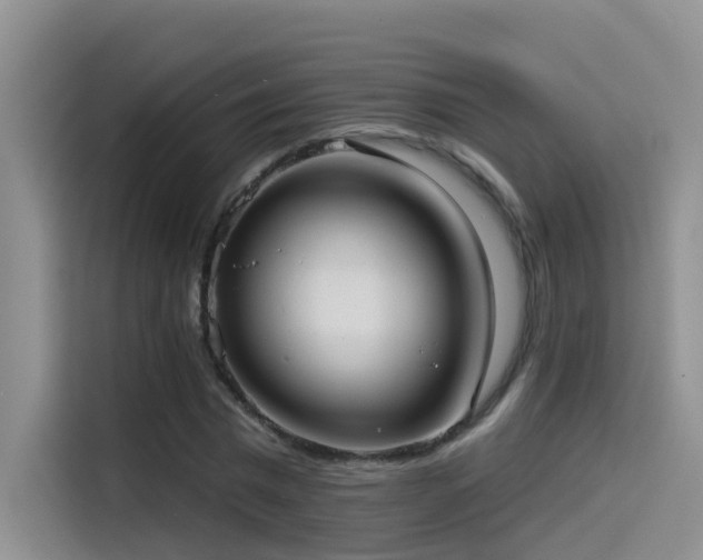 X0000114490777200910191230