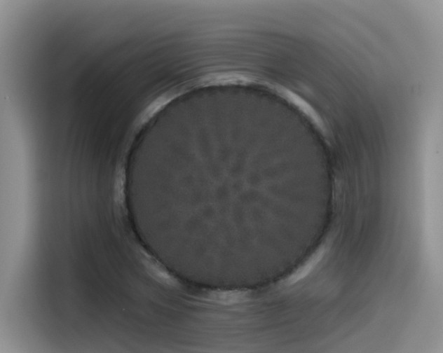 X0000114490778200910191230