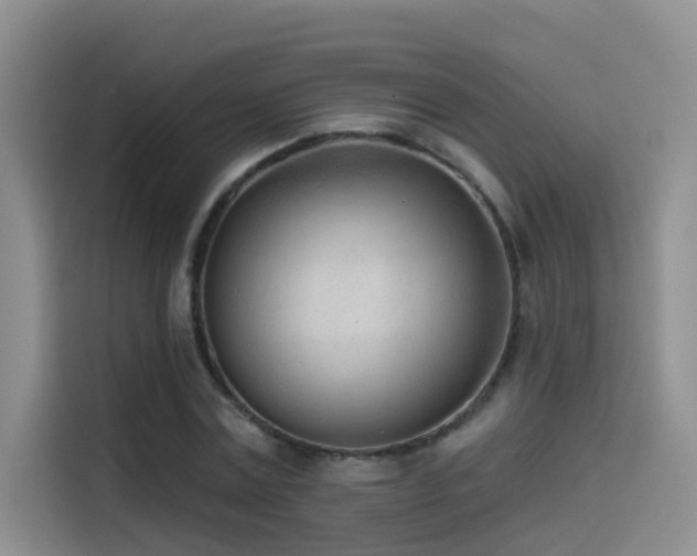 X0000114490779200910191230