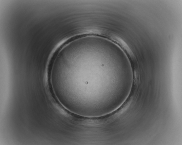 X0000114490780200910191230