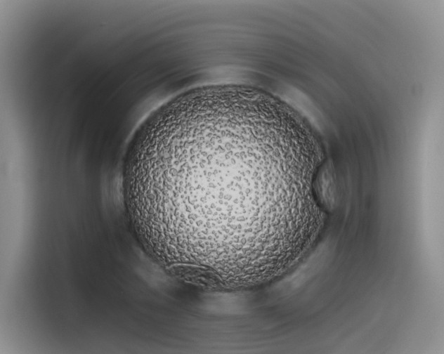 X0000114490781200910191230