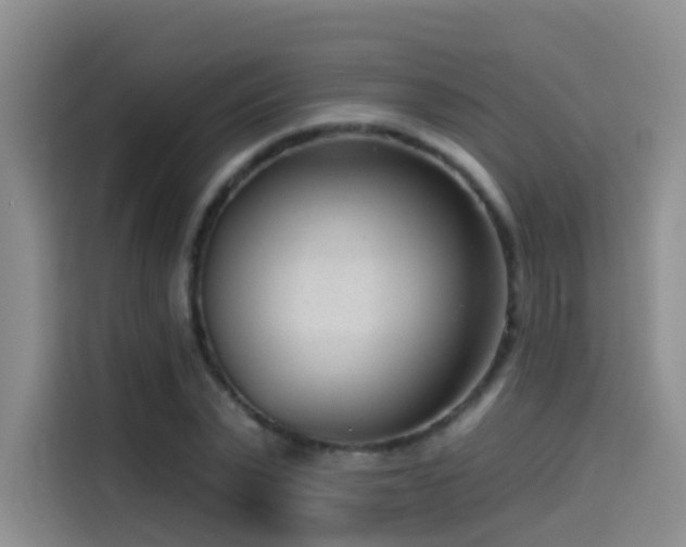X0000114490783200910191230