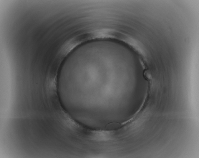X0000114490785200910191230