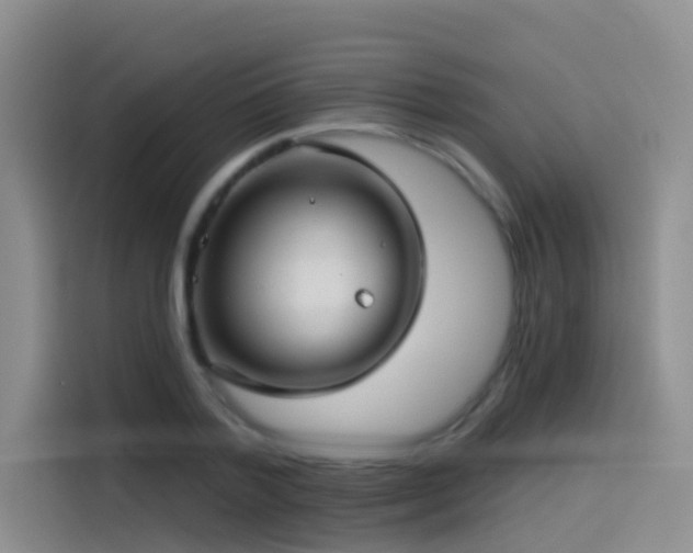 X0000114490788200910191230