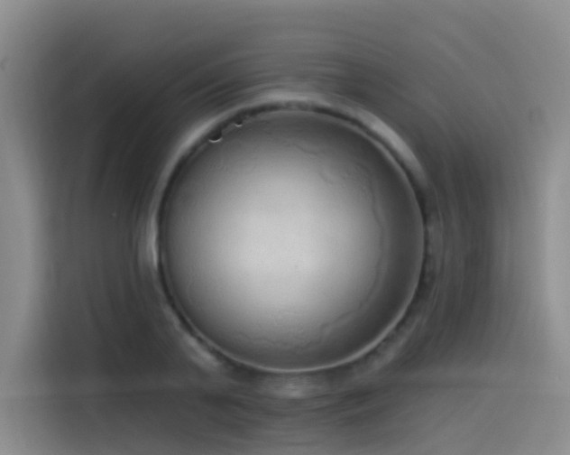 X0000114490791200910191230