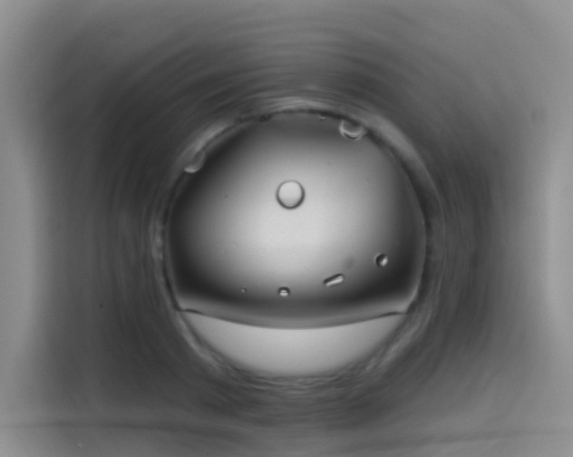 X0000114490793200910191230