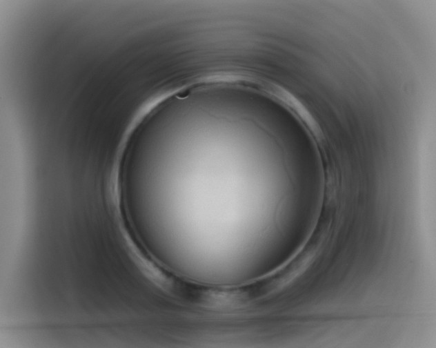 X0000114490795200910191230