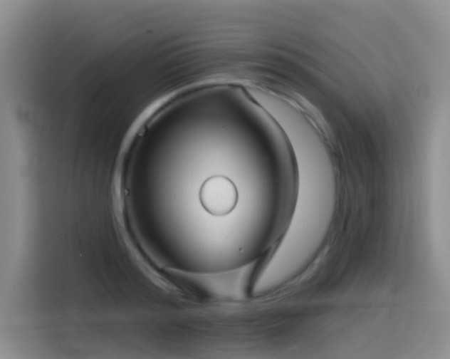 X0000114490796200910191230
