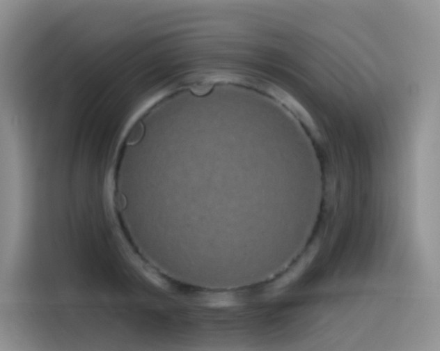 X0000114490798200910191230