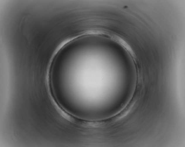 X0000114490803200910191230