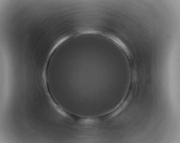 X0000114490806200910191230