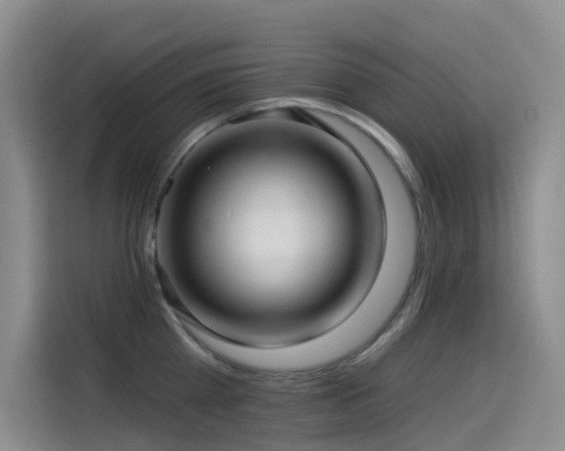 X0000114490809200910191230