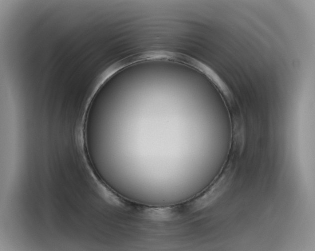 X0000114490810200910191230