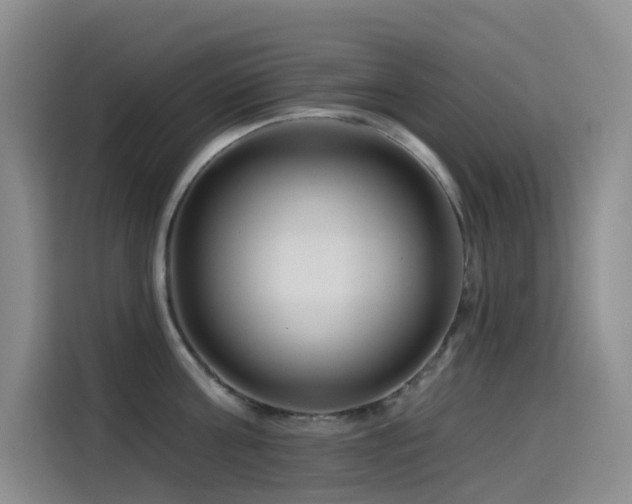 X0000114490811200910191229
