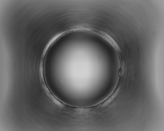 X0000114490812200910191229