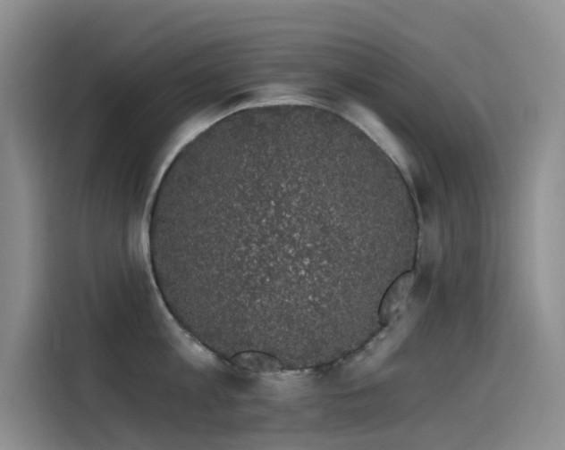 X0000114490813200910191229
