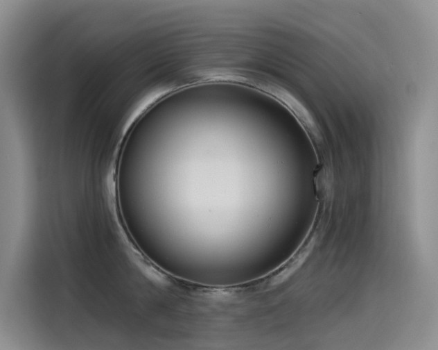 X0000114490814200910191229