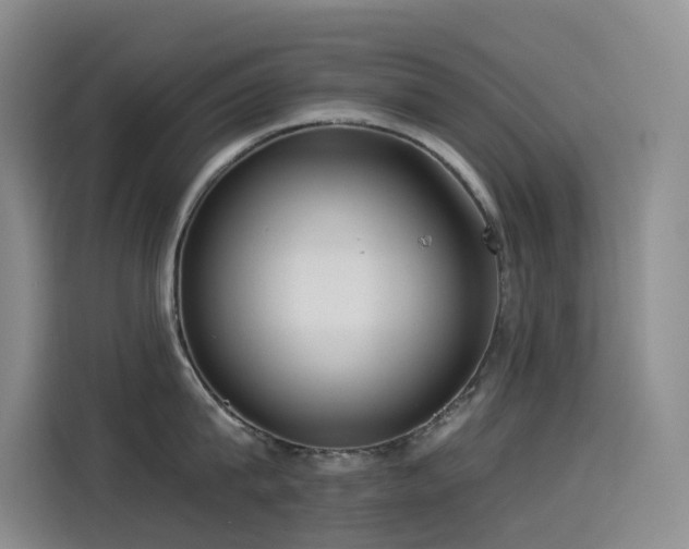 X0000114490815200910191229