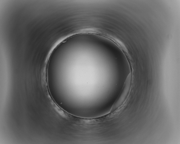X0000114490816200910191229