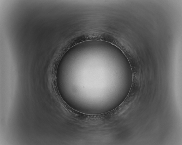 X0000114490817200910191229