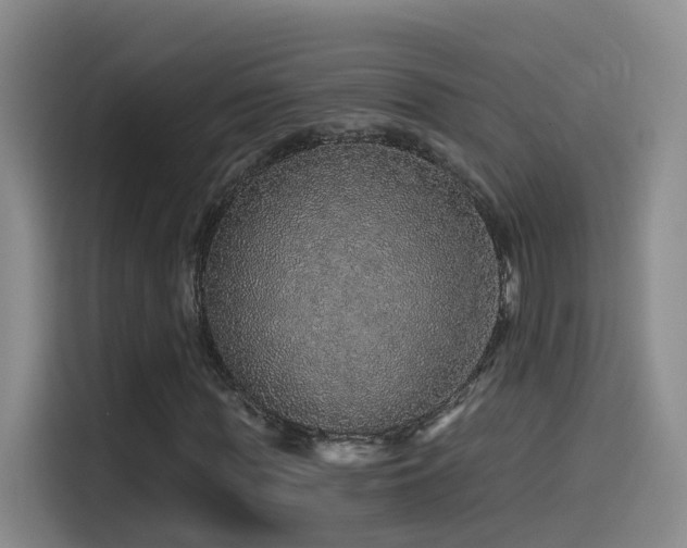X0000114490819200910191229