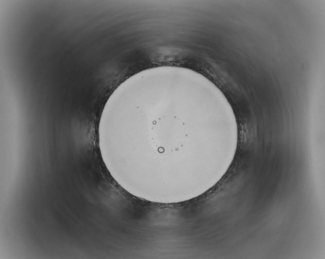 X0000114490820200910191229