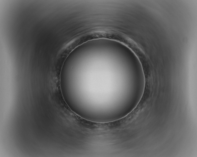 X0000114490822200910191229